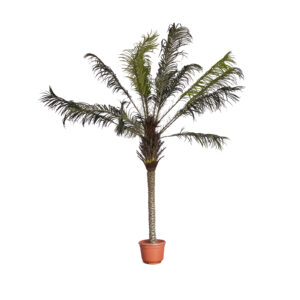 Planta artificial con forma de palmera tropical de gran formato.